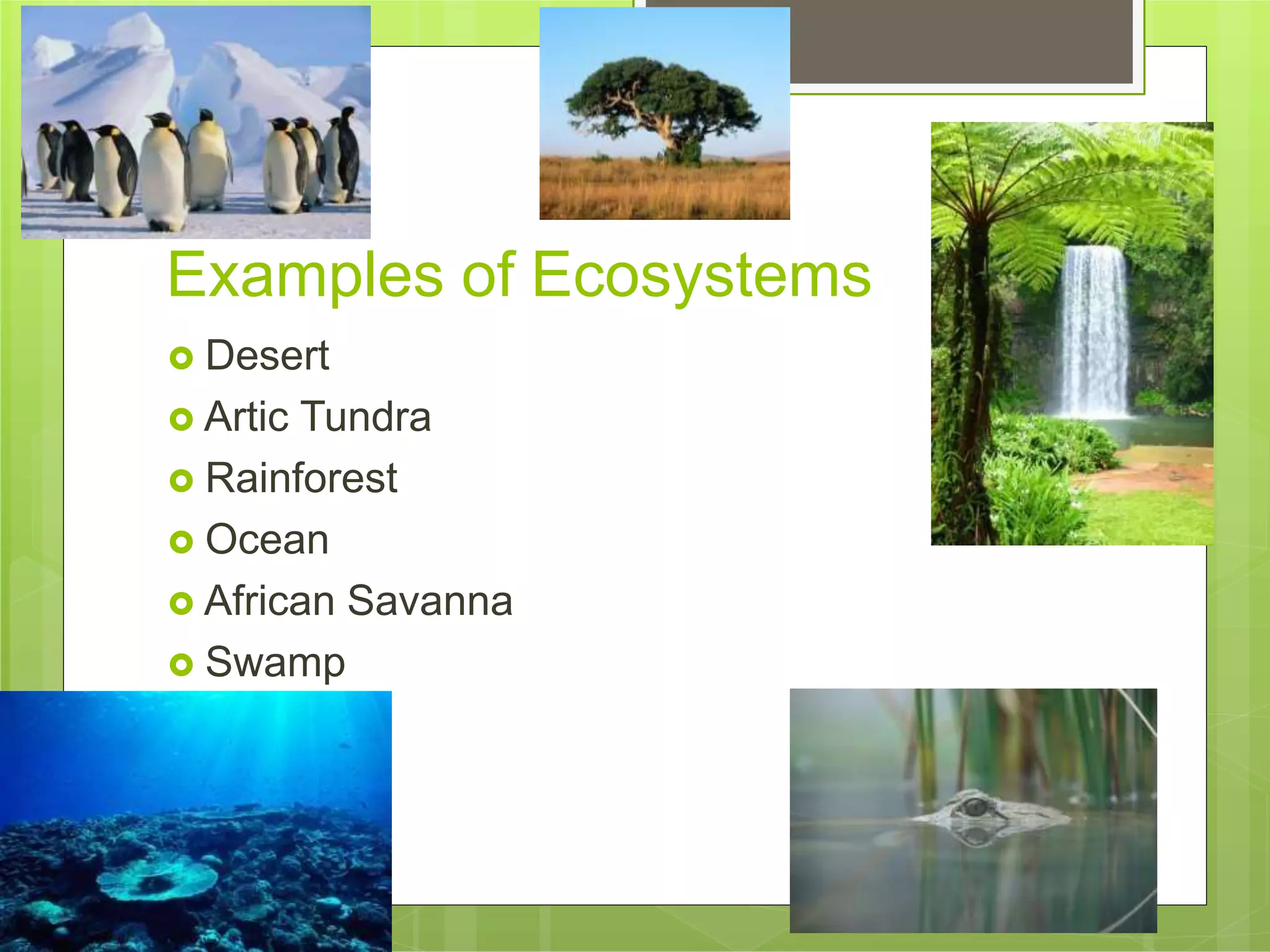 Examples of Ecosystems
 Desert
 Artic Tundra
 Rainforest
 Ocean
 African Savanna
 Swamp
 