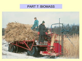 PART 7: BIOMASS
 