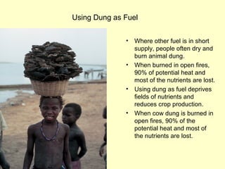 Using Dung as Fuel
• Where other fuel is in short
supply, people often dry and
burn animal dung.
• When burned in open fires,
90% of potential heat and
most of the nutrients are lost.
• Using dung as fuel deprives
fields of nutrients and
reduces crop production.
• When cow dung is burned in
open fires, 90% of the
potential heat and most of
the nutrients are lost.
 
