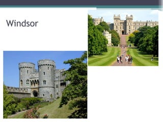 Windsor
 