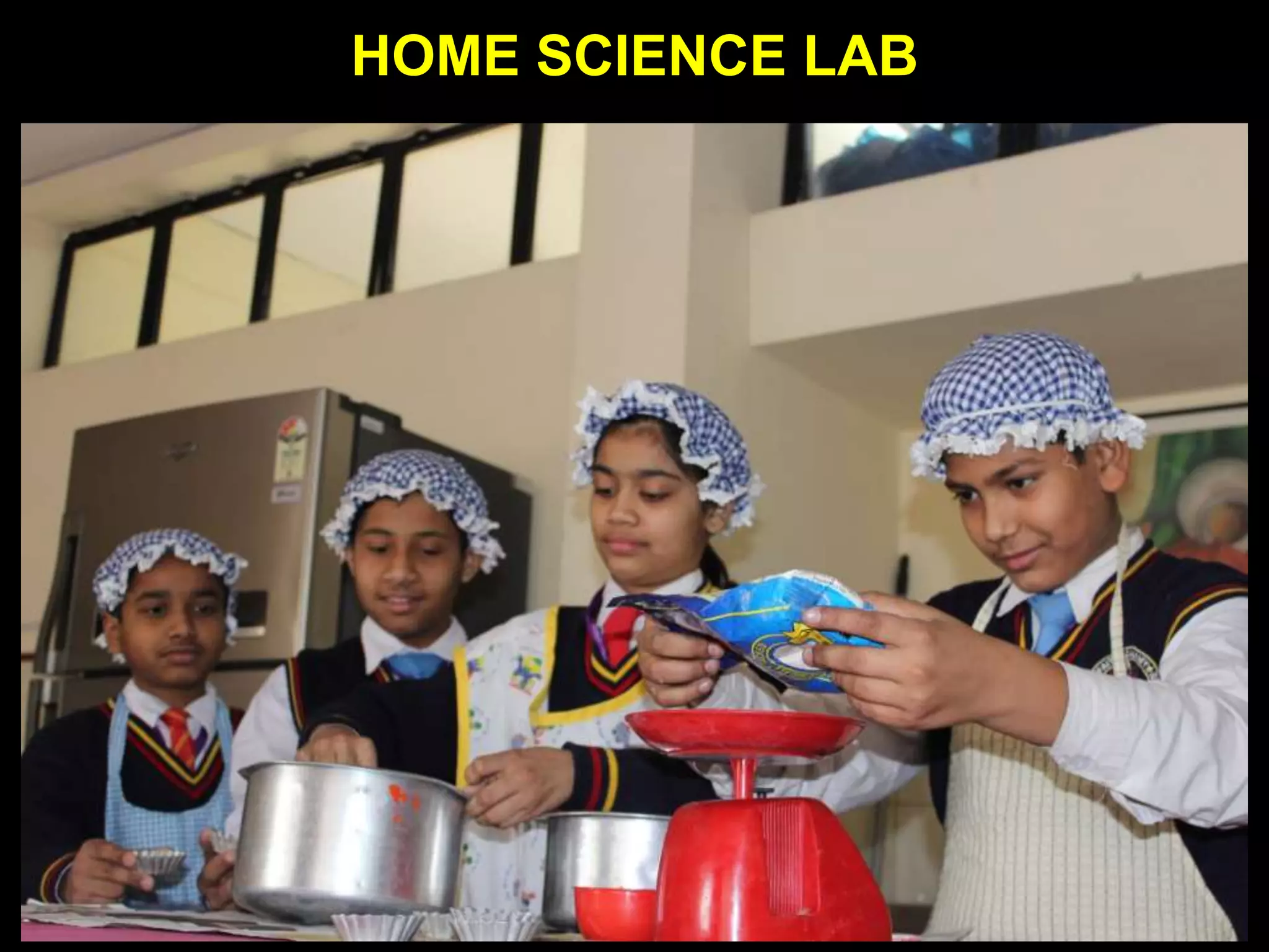 HOME SCIENCE LAB