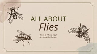 ALL ABOUT
Flies
Here is where your
presentation begins
 