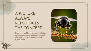 A PICTURE
ALWAYS
REINFORCES
THE CONCEPT
Images reveal large amounts of data,
so remember: use an image instead
of a long text. Your audience will
appreciate it
 