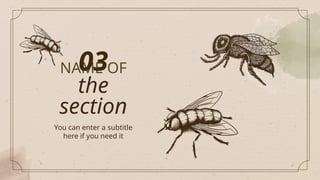 NAME OF
the
section
03
You can enter a subtitle
here if you need it
 