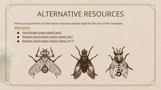 ALTERNATIVE RESOURCES
Here’s an assortment of alternative resources whose style fits the one of this template:
Vectors
● Hand drawn insect sketch pack
● Realistic hand drawn insects sketch set I
● Realistic hand drawn insects sketch set II
 