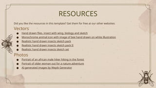 RESOURCES
Did you like the resources in this template? Get them for free at our other websites:
Vectors
● Hand drawn flies. insect with wing, biology and sketch
● Monochrome animal icon with image of bee hand drawn on white illustration
● Realistic hand drawn insects sketch pack
● Realistic hand drawn insects sketch pack II
● Realistic hand drawn insects sketch set
Photos
● Portrait of an african male hiker hiking in the forest
● Portrait of older woman out for a nature adventure
● AI-generated images by Wepik Generator
 