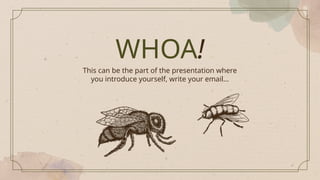 This can be the part of the presentation where
you introduce yourself, write your email…
WHOA!
 