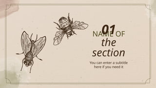 NAME OF
the
section
You can enter a subtitle
here if you need it
01
 
