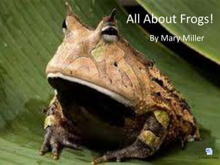 All About Frogs! By Mary Miller 