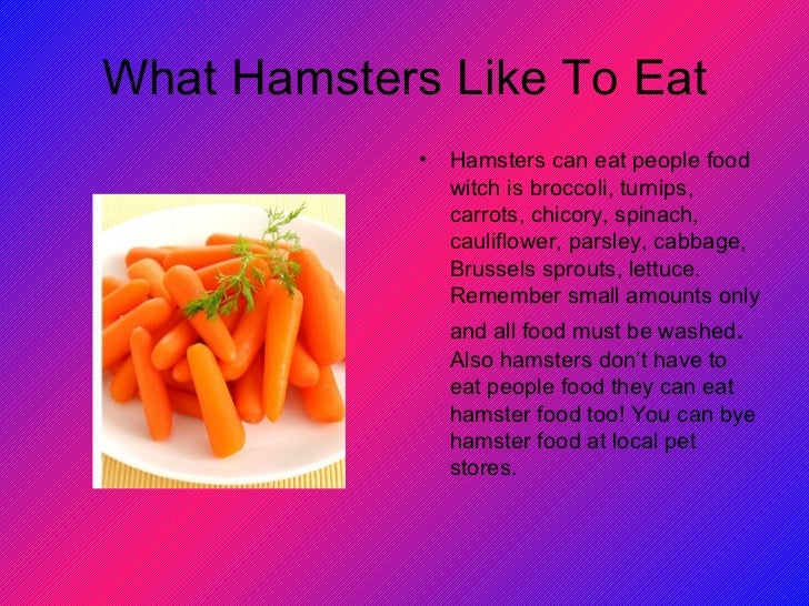 All Food That Hamsters Can Eat All Food That Hamsters Can Eat