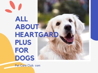 ALL
ABOUT
HEARTGARD
PLUS
FOR
DOGS
Pet Care Club. com
 