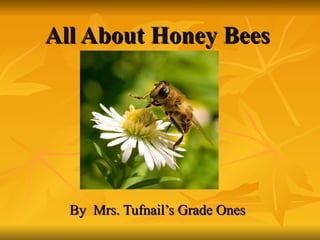 All About Honey   Bees By  Mrs. Tufnail’s Grade Ones 