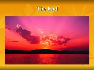 The End 