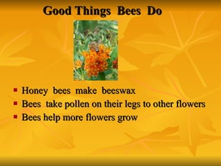 Good Things  Bees  Do Honey  bees  make  beeswax  Bees  take pollen on their legs to other flowers Bees help more flowers grow 