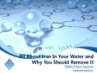 All About Iron In Your Water and
Why You Should Remove It

Water Filters Express
By Water Filters Express.com

 