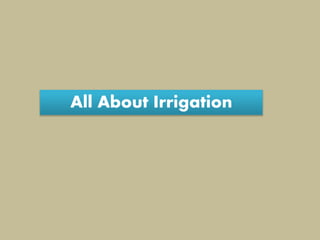 All About Irrigation
 
