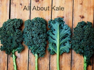 All About Kale 
 