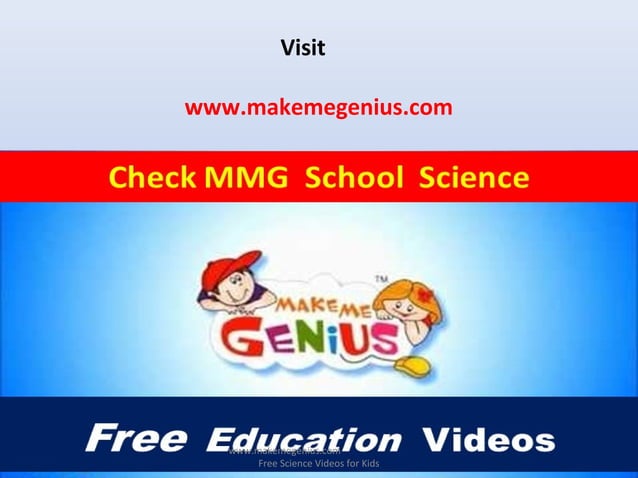 All About Lions 30 Fun interesting Facts For Kids Ppt 