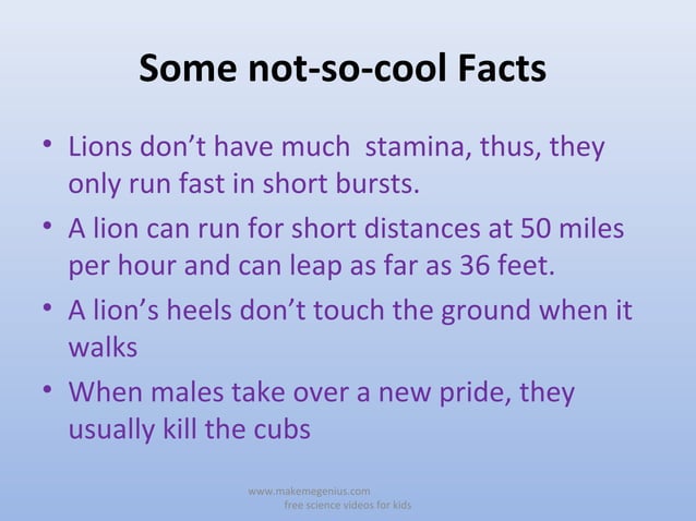 All About Lions 30 Fun interesting Facts For Kids Ppt 