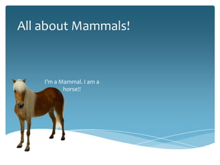 All about mammals