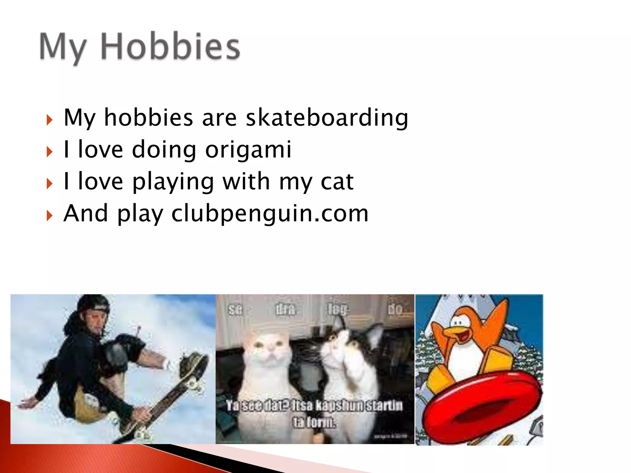 My hobbies are skateboardingI love doing origamiI love playing with my catAnd play clubpenguin.comMy Hobbies