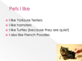 Pets I likeI like Yorksure TerriersI like hamstersI like Turtles (because they are quiet)I also like French Poodles