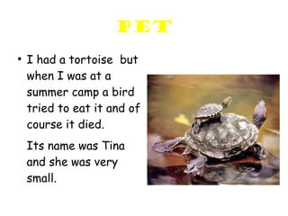 pet
●
    I had a tortoise but
    when I was at a
    summer camp a bird
    tried to eat it and of
    course it died.
    Its name was Tina
    and she was very
    small.
 