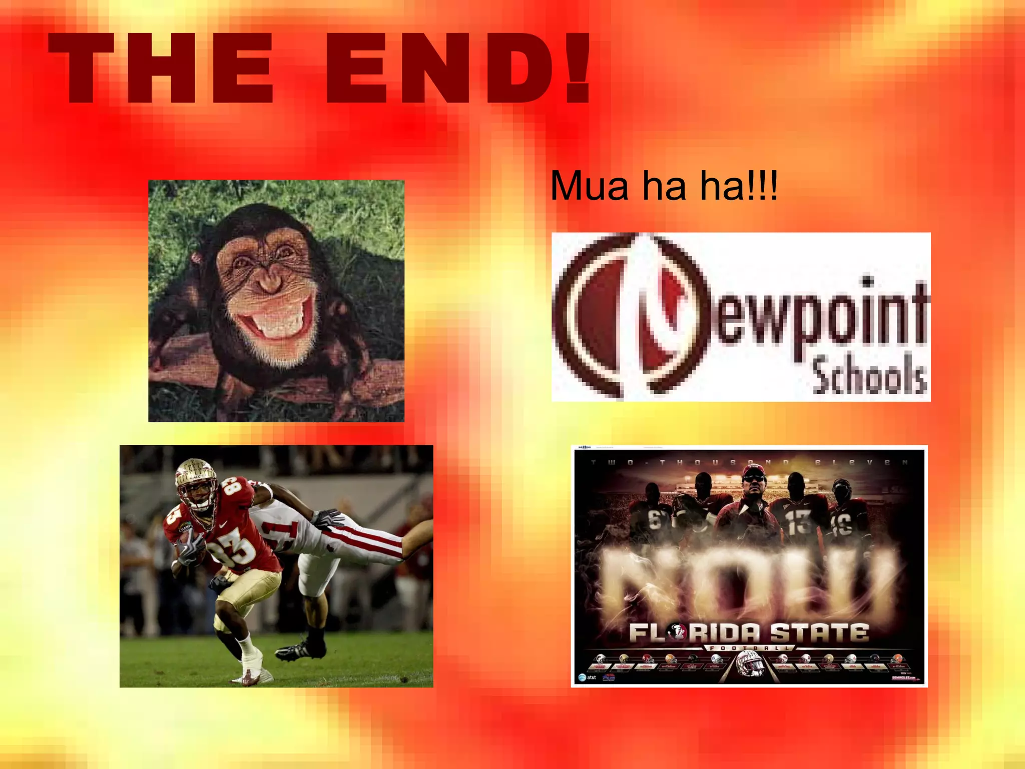 I enjoy playing with computers 