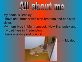 All about me My name is Bradley. I have one  brother two step brothers and one step sister. My mom lives in Memramcook, New Brunswick and my dad lives in Fredericton.  I have one dog and one cat. My dog.  