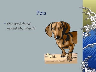 Pets One dachshund named Mr. Weenie 