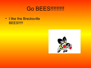 Go BEES!!!!!!!!!
• I like the Brecksville
BEES!!!!!