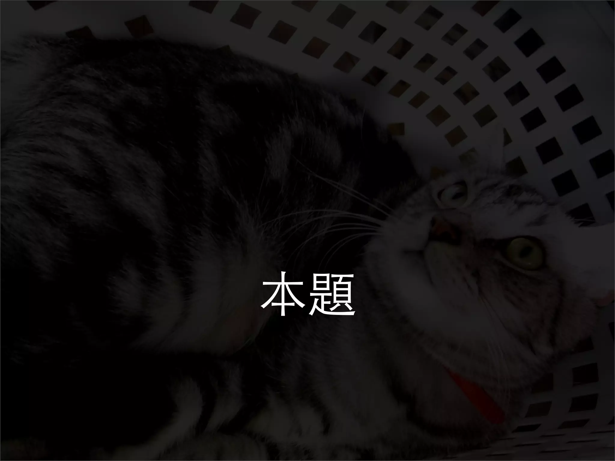 All About Metarw -- VimM#2