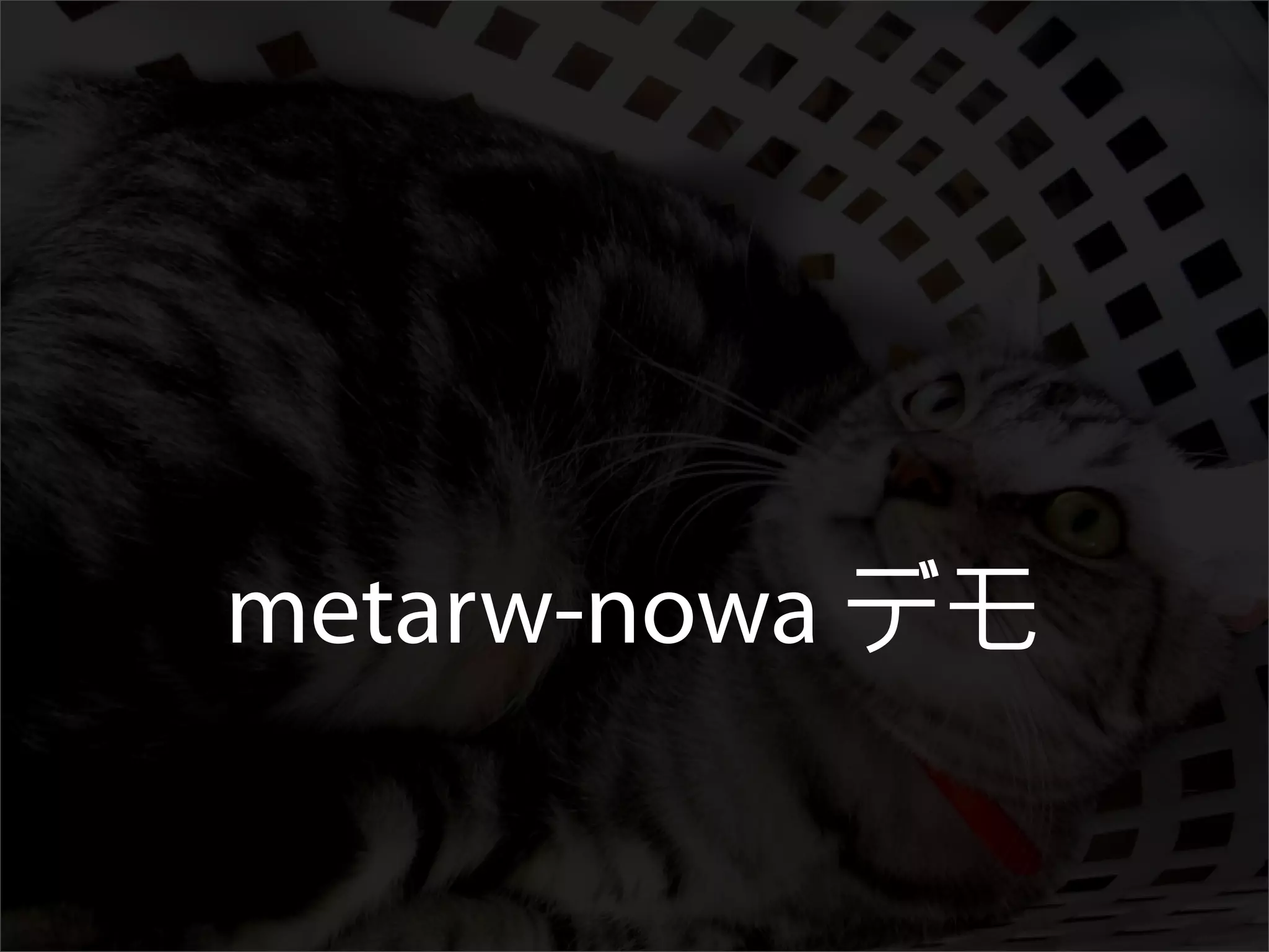 All About Metarw -- VimM#2