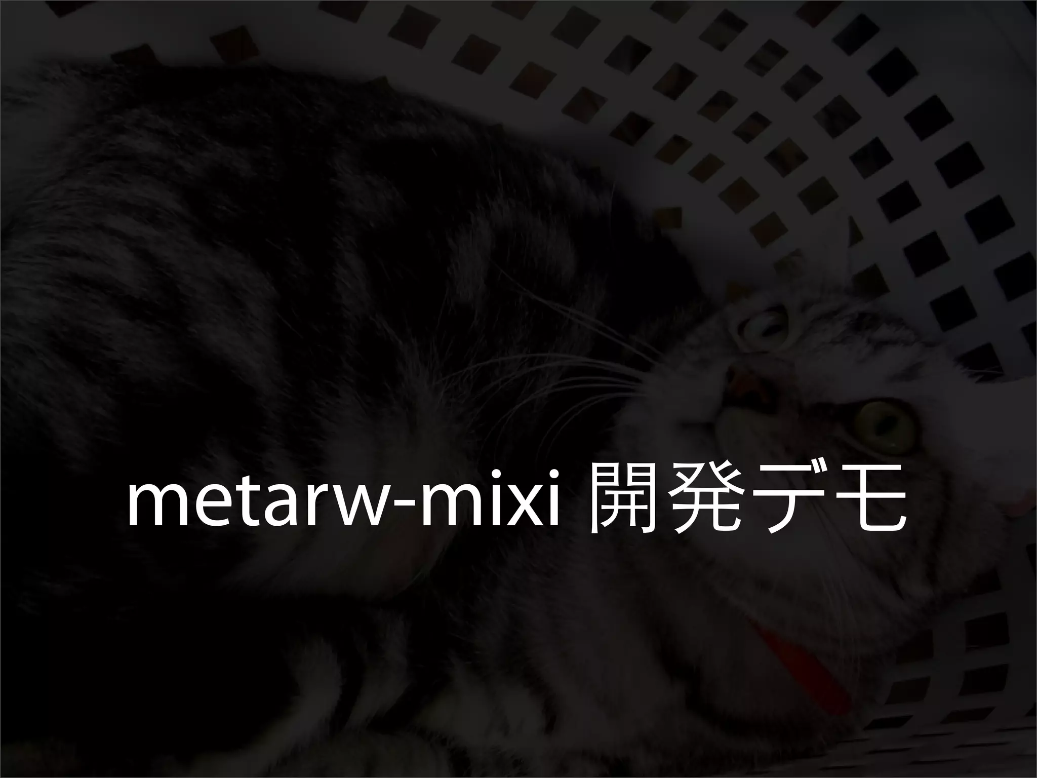 All About Metarw -- VimM#2