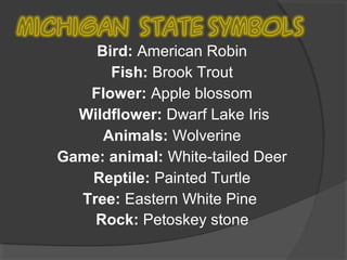 Bird: American Robin
      Fish: Brook Trout
   Flower: Apple blossom
  Wildflower: Dwarf Lake Iris
     Animals: Wolverine
Game: animal: White-tailed Deer
   Reptile: Painted Turtle
  Tree: Eastern White Pine
    Rock: Petoskey stone
 
