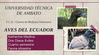 Katherine Medina
Dra: Diana Áviles
Cuarto semestre
Fauna silvestre
UNIVERSIDAD TÉCNICA
DE AMBATO
F.C.A – Carrera de Medicina Veterinaria
AVES DEL ECUADOR
 