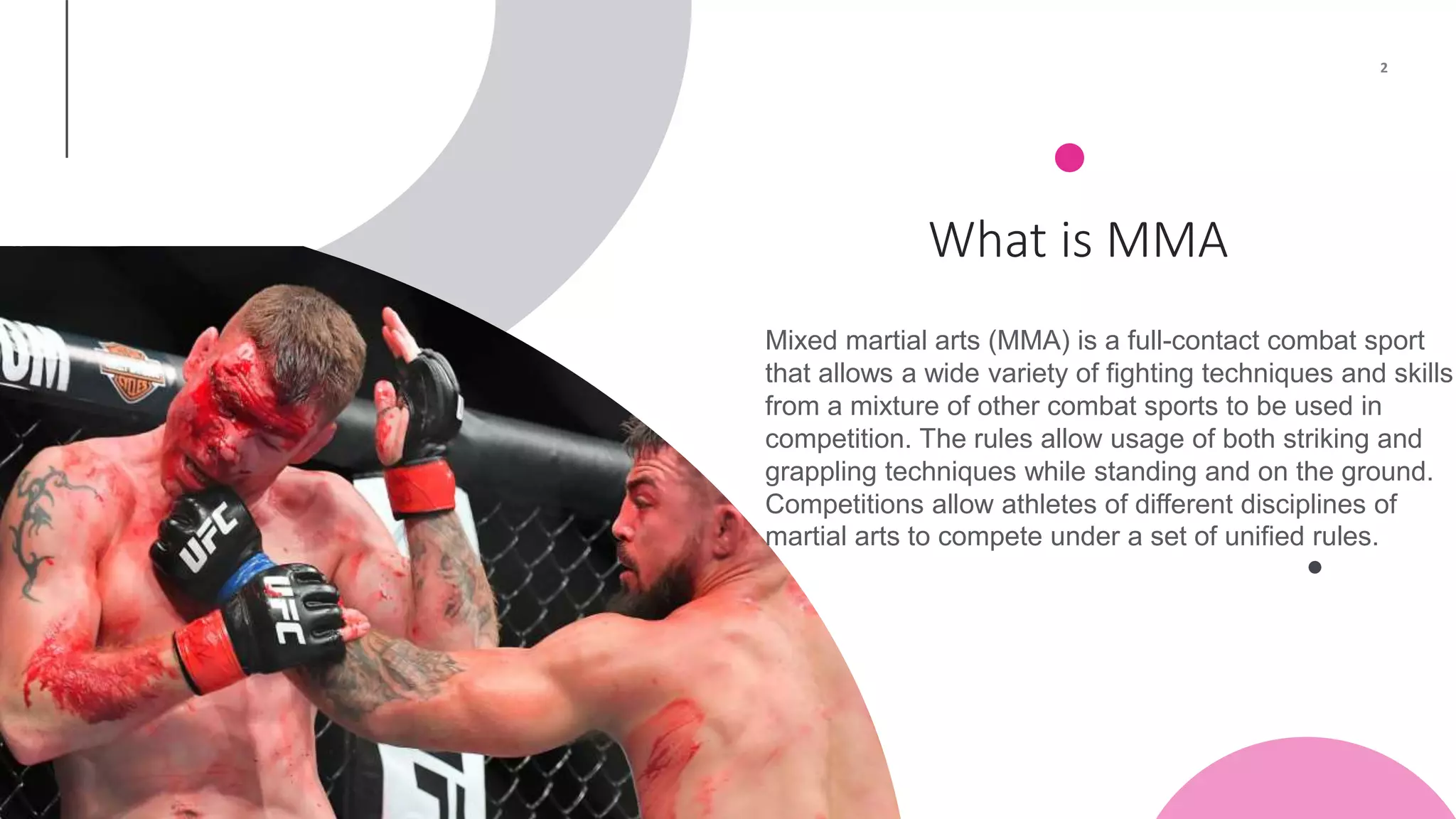 What Mma Include All About MMA.pptx