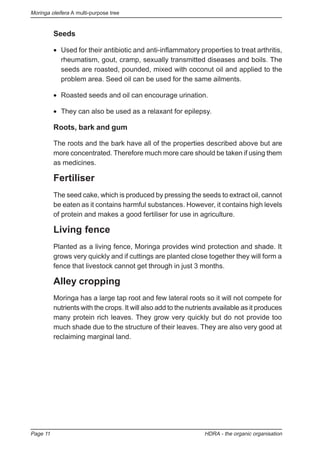 Moringa oleifera A multi-purpose tree
Page 11 HDRA - the organic organisation
Seeds
• Used for their antibiotic and anti-inflammatory properties to treat arthritis,
rheumatism, gout, cramp, sexually transmitted diseases and boils. The
seeds are roasted, pounded, mixed with coconut oil and applied to the
problem area. Seed oil can be used for the same ailments.
• Roasted seeds and oil can encourage urination.
• They can also be used as a relaxant for epilepsy.
Roots, bark and gum
The roots and the bark have all of the properties described above but are
more concentrated. Therefore much more care should be taken if using them
as medicines.
Fertiliser
The seed cake, which is produced by pressing the seeds to extract oil, cannot
be eaten as it contains harmful substances. However, it contains high levels
of protein and makes a good fertiliser for use in agriculture.
Living fence
Planted as a living fence, Moringa provides wind protection and shade. It
grows very quickly and if cuttings are planted close together they will form a
fence that livestock cannot get through in just 3 months.
Alley cropping
Moringa has a large tap root and few lateral roots so it will not compete for
nutrients with the crops. It will also add to the nutrients available as it produces
many protein rich leaves. They grow very quickly but do not provide too
much shade due to the structure of their leaves. They are also very good at
reclaiming marginal land.
 