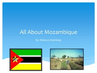 All About Mozambique
     By: Rebecca Steinberg
 