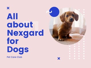 01
All
about
Nexgard
for
Dogs
Pet Care Club
 