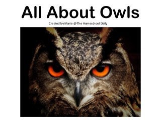 All About Owls
Created by Marie @ The Homeschool Daily
 