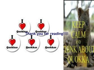 Thank you for reading!!!!
 