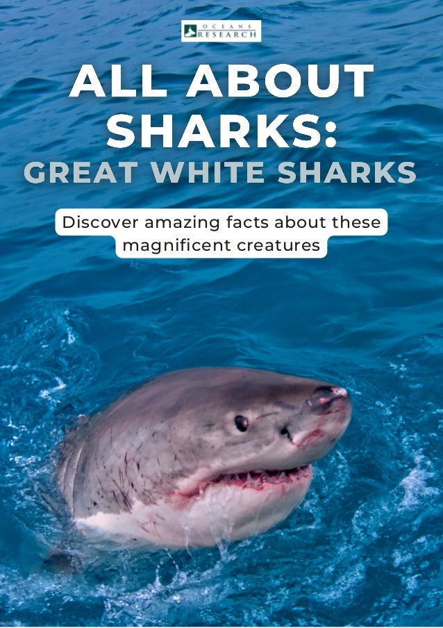 Discover amazing facts about these
magnificent creatures
 