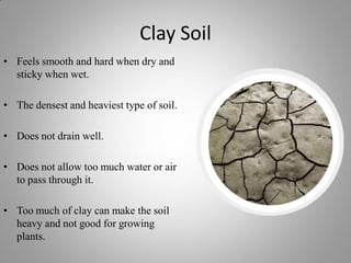 All About Soil (Updated Version) | PDF