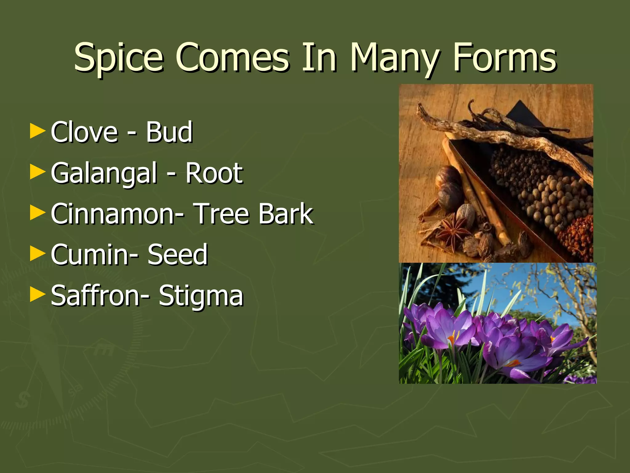 Spice Comes In Many Forms Clove - Bud Galangal - Root Cinnamon- Tree Bark Cumin- Seed Saffron- Stigma 