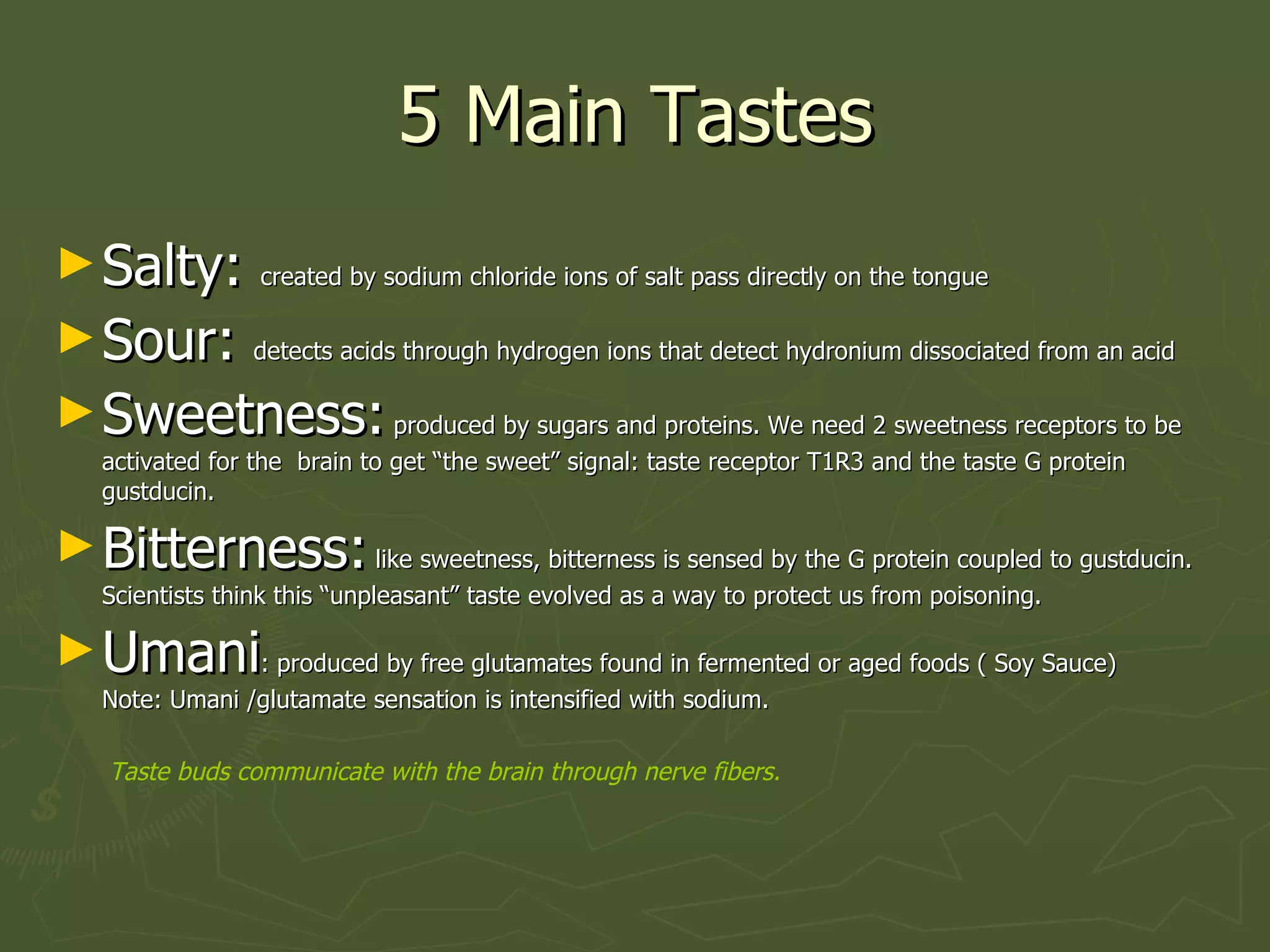5 Main Tastes Salty:  created by sodium chloride ions of salt pass directly on the tongue Sour:  detects acids through hydrogen ions that detect hydronium dissociated from an acid Sweetness:  produced by sugars and proteins. We need 2 sweetness receptors to be activated for the  brain to get “the sweet” signal: taste receptor T1R3 and the taste G protein gustducin.  Bitterness:  like sweetness, bitterness is sensed by the G protein coupled to gustducin. Scientists think this “unpleasant” taste evolved as a way to protect us from poisoning. Umani : produced by free glutamates found in fermented or aged foods ( Soy Sauce) Note: Umani /glutamate sensation is intensified with sodium. Taste buds communicate with the brain through nerve fibers. 