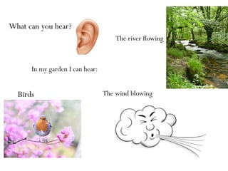 What can you hear?
Birds
In my garden I can hear:
The river flowing
The wind blowing
 
