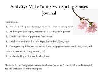 Activity: MakeYour Own Spring Senses
Journal
Instructions:
1.  You will need a piece of paper, a ruler, and some colouring pencils
2.  At the top of your paper, write the title‘Spring Senses Journal’
3.  Divide your piece of paper into four sections
4.  Label each section with a title: Sight,Touch/Feel,Taste, Hear
5.  During the day, fill in the sections with the things you can see, touch/feel, taste, and
hear – try notice the things around you!
5. Label each thing with a word and a picture
There are lots of things you can sense inside your home, or from a window or balcony J
See the next slide for some examples!
 