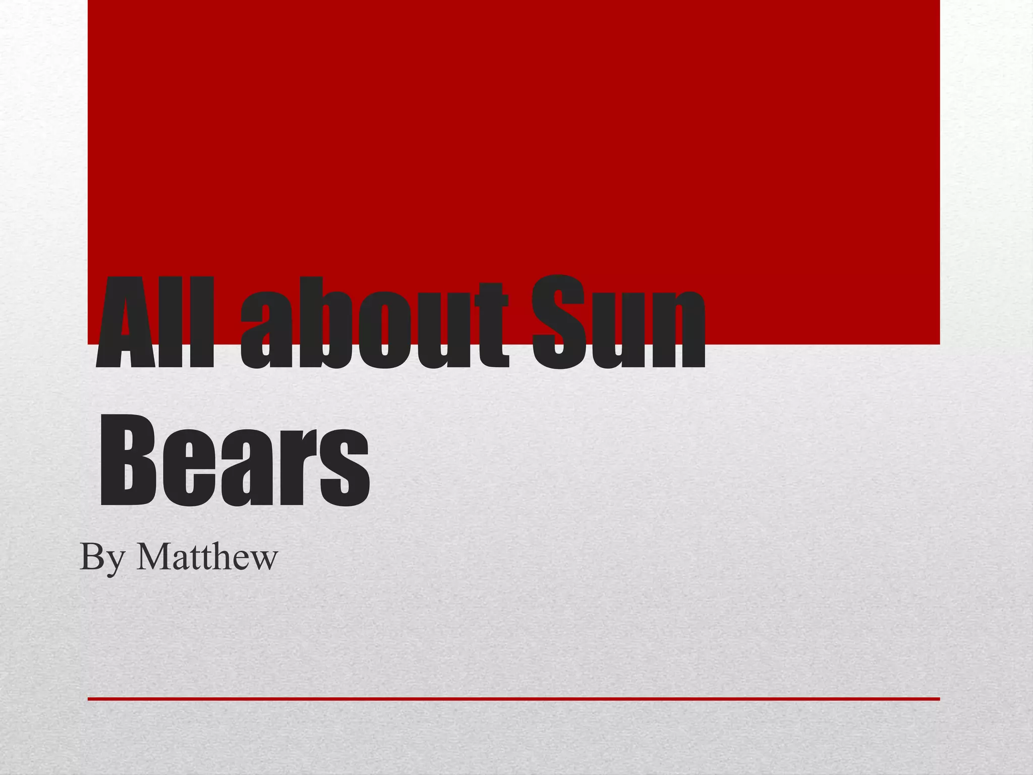 All about Sun Bears | PPT