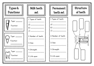 Types &
Functions
Type: ______
Function:
___________
___________
Function:
___________
___________
Function:
___________
___________
Type: ______
Type: ______
Milk teeth
set
Permanent
teeth set
1. Types of teeth:
_____________________
a) __________________
b) __________________
c) __________________
2. Number of teeth:
_____________________
3. Size:
_____________________
4. Strength:
_____________________
5. Life span:
_____________________
_
1. Types of teeth:
_____________________
a) __________________
b) __________________
c) __________________
2. Number of teeth:
_____________________
3. Size:
_____________________
4. Strength:
_____________________
5. Life span:
_____________________
_
 